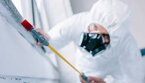 Real Estate Pest Inspections in Elk Grove, CA